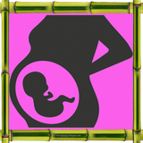 ir.nokatbardari.sall