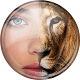 com.aliheidari020.tarkibechehre