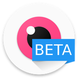 com.dodgingpixels.gallery.beta