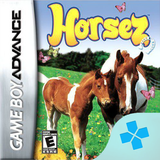 com.bazilon.gba.horsez