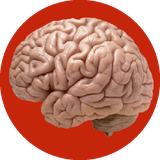 com.ahmad_ht.anatomemagzvaasab