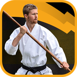 ir.tinasoft.bo_staff