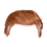 com.palmeralabs.trump_hair_stickers