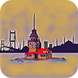 com.zsh.LearnTurkish