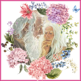 sekandari.app.adamvahava