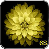 com.photoiphon.pezora