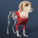 ru.brothersappsandgames.idlepet