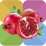 com.ekbatanapp.shabyalda