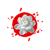 ir.parkgroup.booyeyas