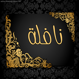 ir.alagal.nafelenamaz