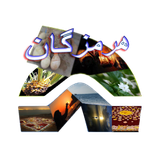 rayanamis.myhormozgan