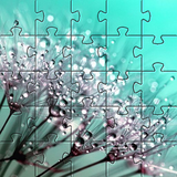 com.jigsaw.puzzle.games.NatureJigsawPuzzlesFreeGames