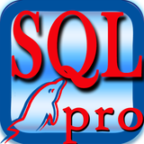 burzo.learning.sqllearningpro