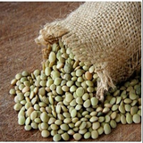 ir.amozesh.keshte.adas