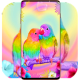com.BirdWallpaper.animalwallpaper.flyingbirdwallpaper.background