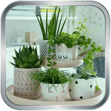 ir.hooshima.giahantazeeni