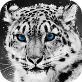 com.amazingbackgrounds.snowleopardwallpapers