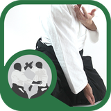 ir.tinasoft.aikido_fonon