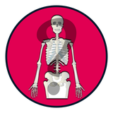 com.GetSmarter.KnowYourSkeletonQuizGame