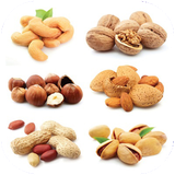 mosbat.anvaemagzijatvakhavasean