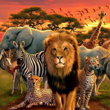 com.app.myapp.damdamlam