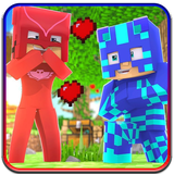 com.skinpjmasks.vaditax