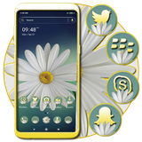 alice.white.daisy.theme