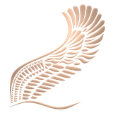 ir.islamoid.shahidtorki