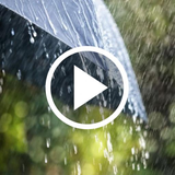 video.rain.hdcast