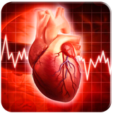 com.nafiseh.zarabanghalsanj