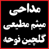 com.maha98.meysammotiee