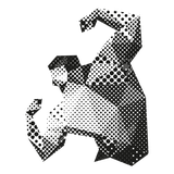 com.voosco.badansazplus