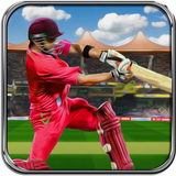 com.mobi.games.crickett20