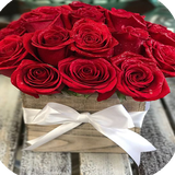 com.rocapp.imagenesderosas