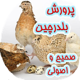 iran.kamranjan.amozeshbelderchin