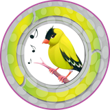 com.nazdooneh.canary