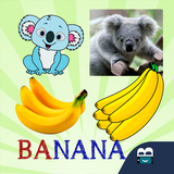 com.appsbergman.primeiraspalavras