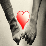 sinsin.hamsar.ayande