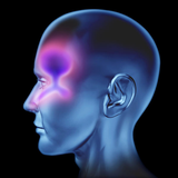 ir.darmane.gateae.senozit.d