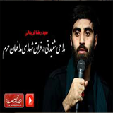 ir.dena.narimani_modafean