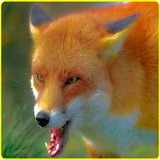 com.level9.angry.wild.fox.attack.sim