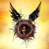 ir.mohammad.harrypotter.hp