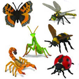 shafagh.tirehayhasharat