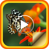 com.Fotographers.MovieSlideshow