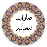 co.ad.salvatshabanie