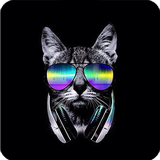 com.black.kokowallpapers