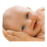 Darchin.TaghziyeBardari