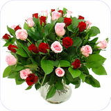 ghahreman.nagahdarivaparvarashghiahanvagolha