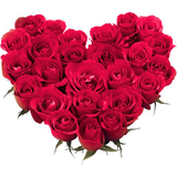 com.wastickerapps.wastickerappsflowers.wastickerappsroses.flowerstickers.colorit