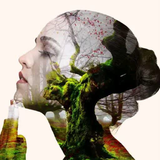 com.samenalaemeh.attractiveandadvancedphotoblender